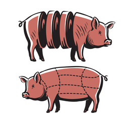 Pig, Pork meat diagram, scheme. Butchery symbol with pork meat cuts. Vintage butcher meat diagram. Vector illustration