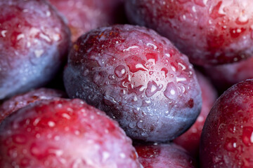 Ripe plums of dark color on the table