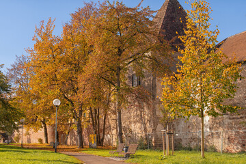 beautiful autumn view in the park,autumn park with yellow trees and yellow grass in ingolstadt city bavaria germany	
