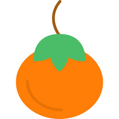 Persimmon Icon
