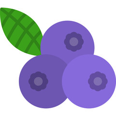 Blueberries Icon