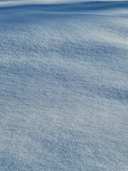Snow texture 