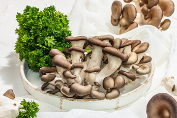 Fresh oyster mushrooms on a ceramic plate with parsley. Healthy ingredient for cooking vegan food