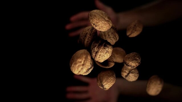 Person throws upward delicious walnuts of brown colour and catches under bright electric light at studio slow motion macro view