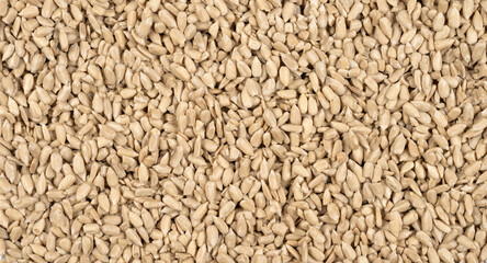 Shelled sunflower seeds. Top view