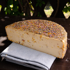 cut round cheese with spices and herbs with a sprig of rosemary and cumin. Selective focus daylight