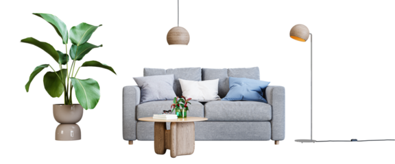 Modern living room with sofa