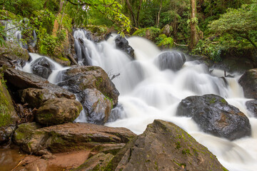 waterfall in the forest