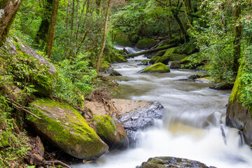 Naklejka na ściany i meble Long exposure river in the forest