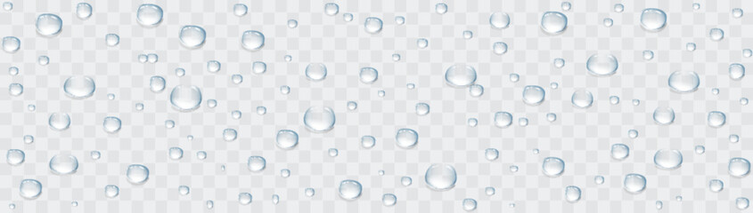 Vector rain drops or steam shower on window glass surface for your design. Realistic pure droplets and water bubbles condensed on the glass background. 