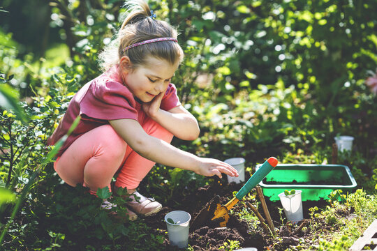Little happy preschool girl planting seedlings of sunflowers in domestic garden. Toddler child learn gardening, planting and cultivating flower and plant. Kids and ecology, environment concept.
