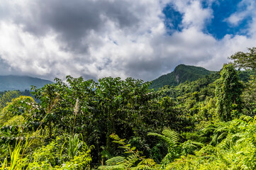 A view from the foothills towards the mountain peaks in the tropical rainforest in Puerto Rico on a bright sunny day