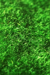 Naklejka premium Artificial green grass closeup, background or texture