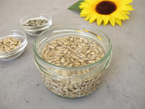 Seeds from sunflowers soaked in water
