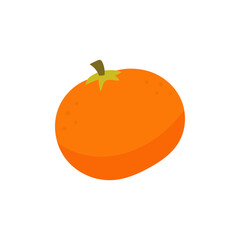 tangerine fruit illustration