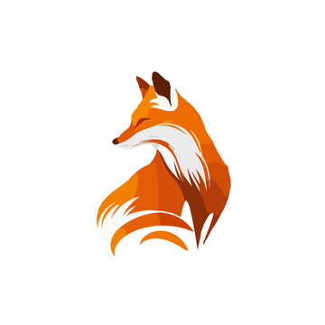 Flat vector illustration of fox portrait isolated on white background