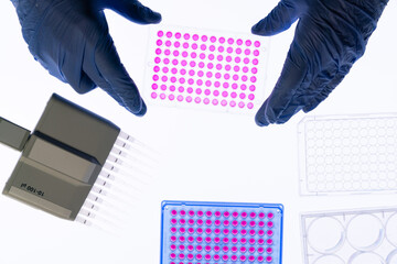 96 well plate in the laboratory of experimental genetics of the Biological University