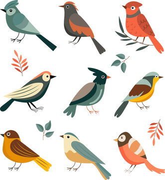 birdies set on white background, vector