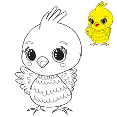 chicken cartoon coloring book on white background