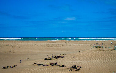 beach in summer