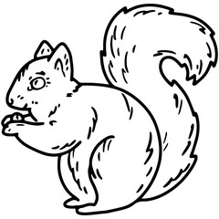 Sketch illustration of a squirrel with a nut in the Doodle style