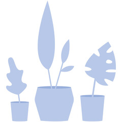 Potted flower plant, flat blue background illustration