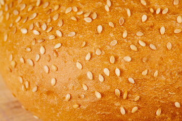 Fresh sesame bun for sandwiches