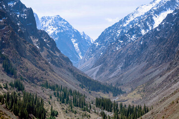Fototapeta premium Beautiful gorge Ala Archa. Kyrgyzstan