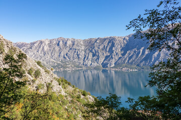 Scenic view on Kotor bay framed by tree branches on hiking trail to Vrmac Sveti Ilija in summer, Adriatic Mediterranean Sea, Montenegro, Balkans, Europe. Fjord winding along steep cliffs Dinaric Alps