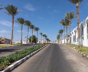 Fototapeta na wymiar Asphalt road with palm trees