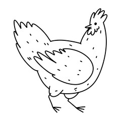 Hen in hand drawn doodle style. Vector Illustration Isolated on white background. Coloring page.