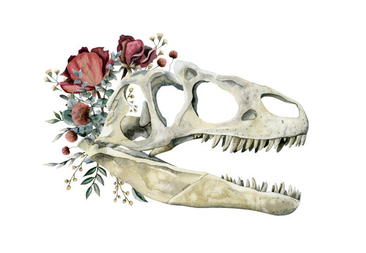 Carnivorous dinosaur skull with red roses, field flowers and eucalyptus watercolor illustration isolated on white
