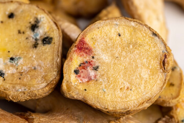 Spoiled and covered with mold sliced ginger