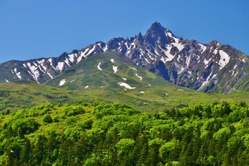 利尻岳　新緑の季節