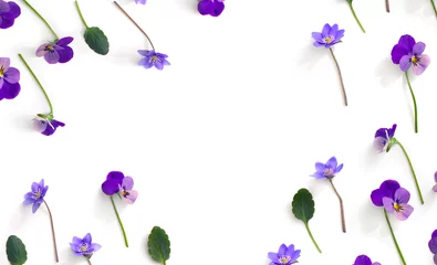 Poster Flowers viola tricolor ( pansy ) and blue flowers hepatica ( liverleaf or liverwort ) on a white background with space for text. Top view, flat lay © Anastasiia Malinich