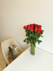 The cat sits on an armchair next to a bouquet of red roses in a glass vase on the table.
