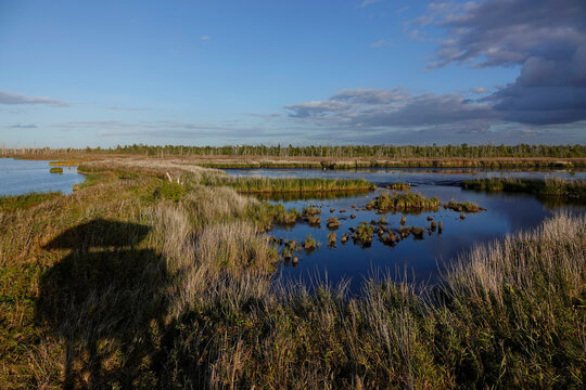Naturschutzgebiet Anklamer Stadtbruch in der Abendsonne