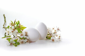 Two white Easter eggs and a branch of wild cherry flowers on a light background, seasonal spring and holiday greeting card, copy space, selected focus