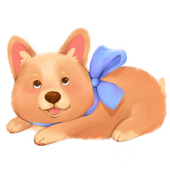 Corgi puppy. Cute baby illustration