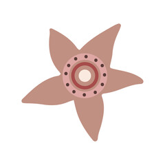 Christmas flower poinsettia, vector illustration