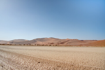 Fototapeta na wymiar Namib Desert near Sossusvlei, Namibia