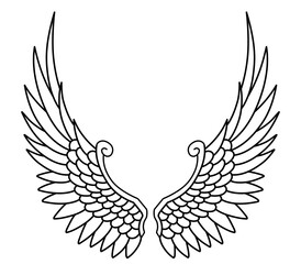 Vector angel wings line art design isolated