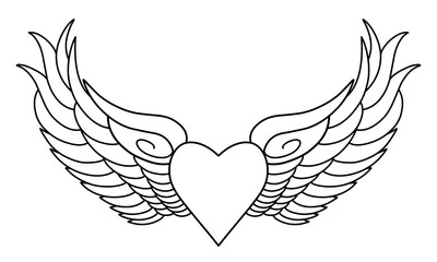 Vector angel wings line art design isolated