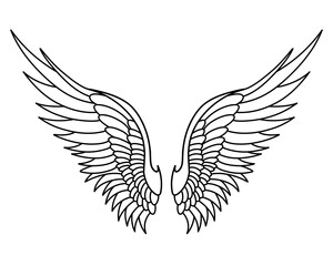 Vector angel wings line art design isolated