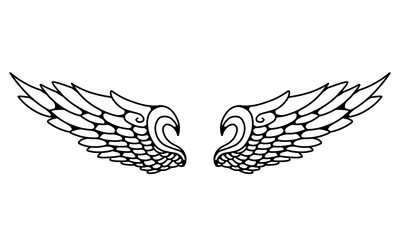 Vector angel wings line art design isolated