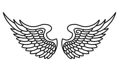 Vector angel wings line art design isolated