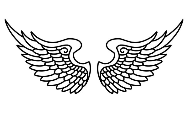 Vector angel wings line art design isolated