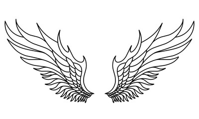 Vector angel wings line art design isolated
