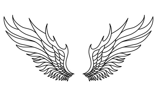 Vector angel wings line art design isolated