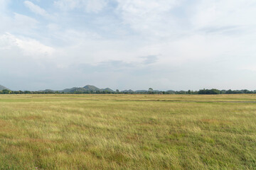 Obraz premium Grass field in summer with mountain range and sky as background.
